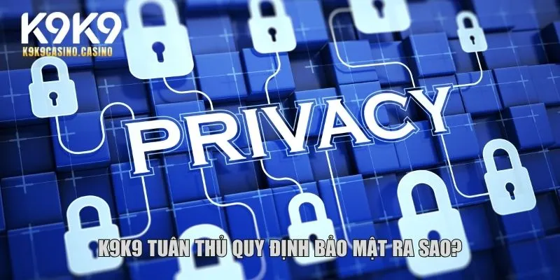 Chính sách bảo mật K9K9